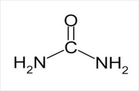 Urea Granular & Prilled