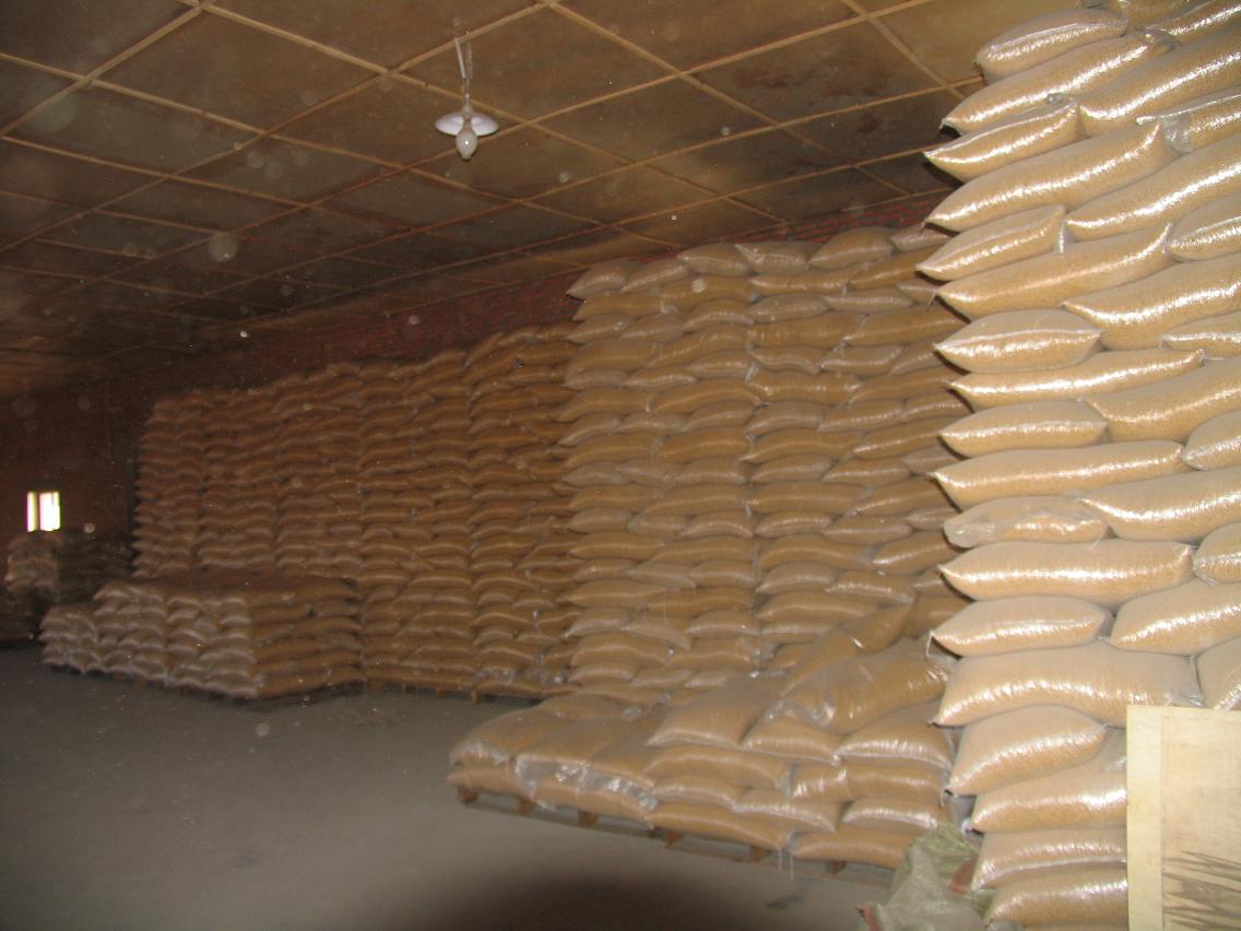 Yellow Corn 50 kg Bags